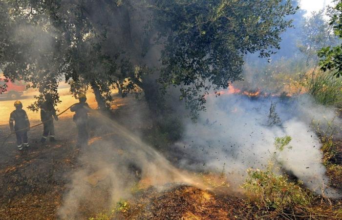 Incendio en Girona: el foco entre Terrades y Boadella, controlado