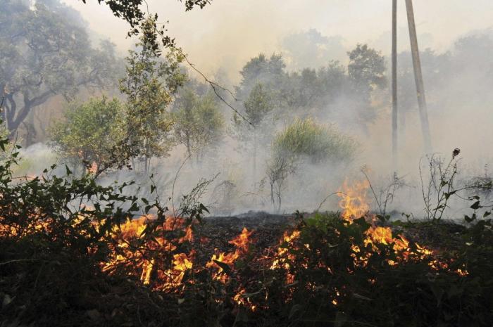 Incendio en Girona: el foco entre Terrades y Boadella, controlado
