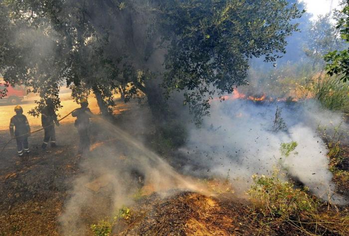 Incendio en Girona: el foco entre Terrades y Boadella, controlado