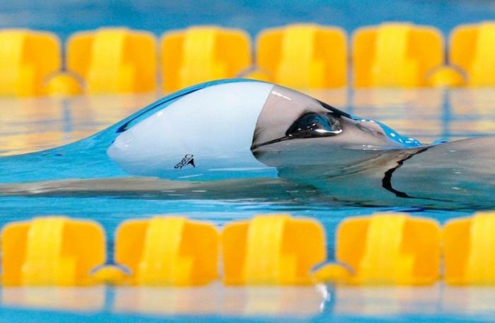 39 impresionantes imágenes acuáticas de los Juegos (FOTOS)