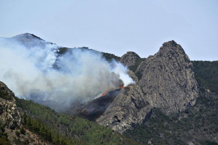 Los dos incendios de La Gomera estables tras el cambio en el tiempo (FOTOS)