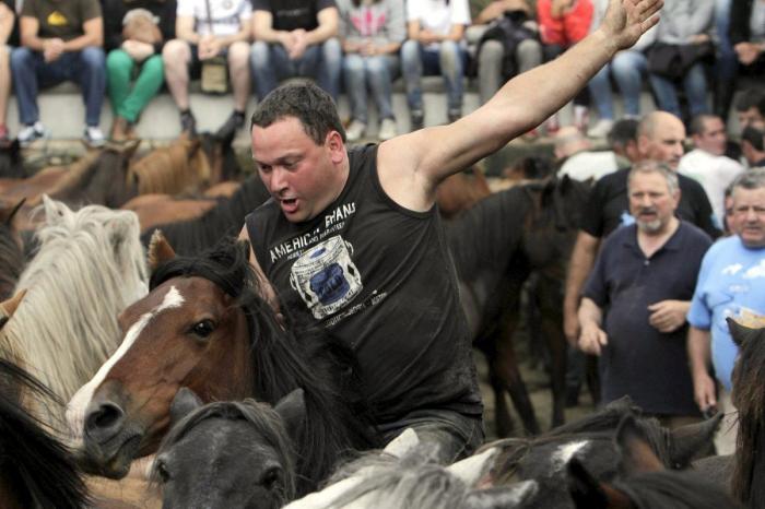 La Rapa das bestas reúne a cientos de personas en Sabucedo (FOTOS)