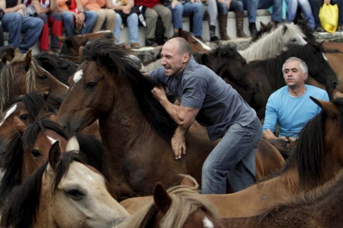 La Rapa das bestas reúne a cientos de personas en Sabucedo (FOTOS)