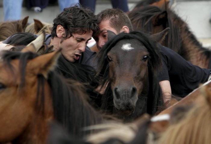 La Rapa das bestas reúne a cientos de personas en Sabucedo (FOTOS)