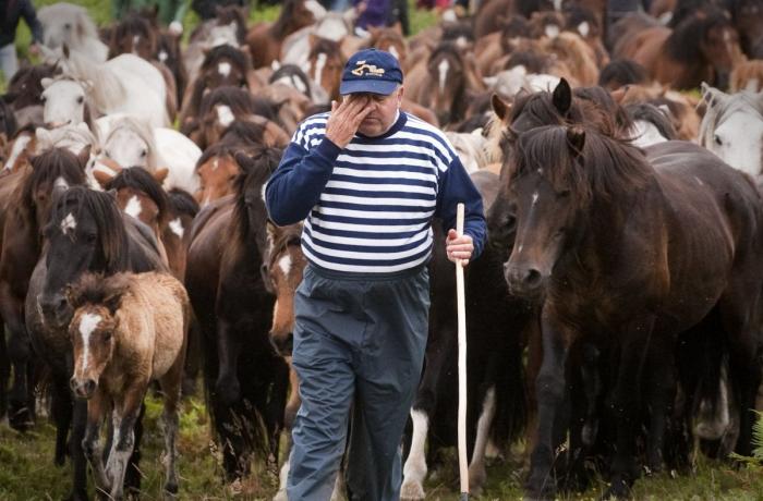 La Rapa das bestas reúne a cientos de personas en Sabucedo (FOTOS)