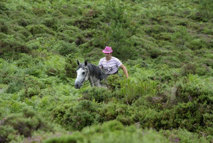 La Rapa das bestas reúne a cientos de personas en Sabucedo (FOTOS)