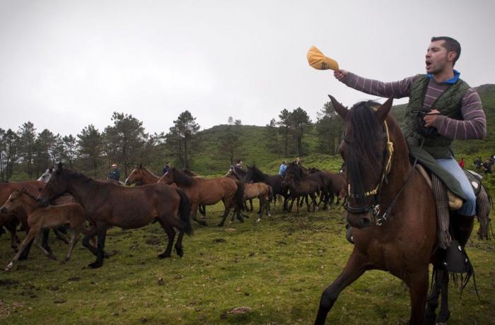 La Rapa das bestas reúne a cientos de personas en Sabucedo (FOTOS)