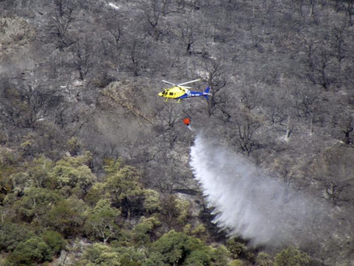 La ola de calor y el fuerte viento mantienen activos más de 10 incendios en toda España