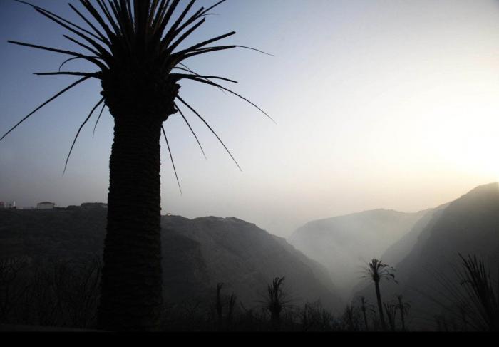 La ola de calor y el fuerte viento mantienen activos más de 10 incendios en toda España