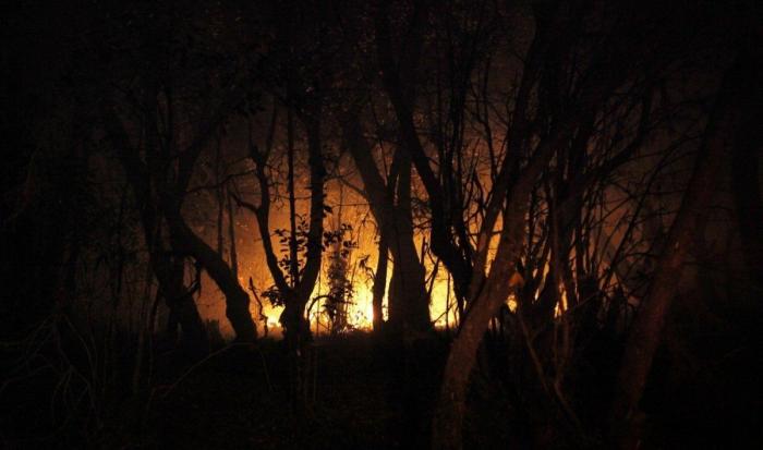 La ola de calor y el fuerte viento mantienen activos más de 10 incendios en toda España