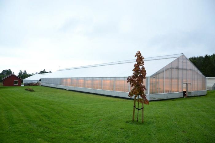 La cárcel de Ila, cerca de Oslo, donde Anders Breivik se pasará 21 años por la matanza de Utoya (FOTOS)