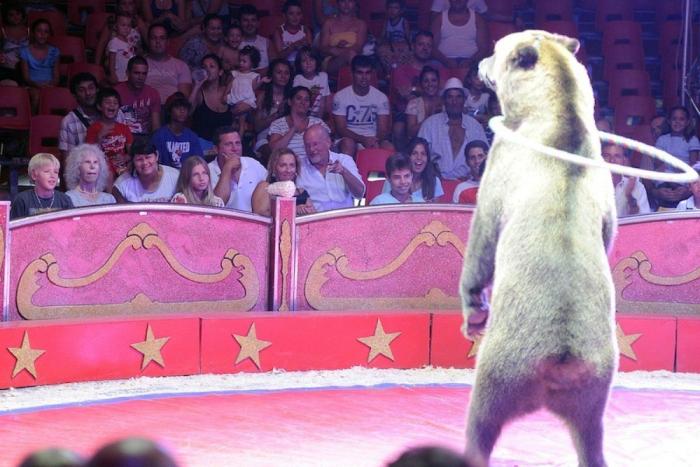 Duquesa de Alba en biquini: triunfa en la prensa de Estados Unidos (FOTOS)