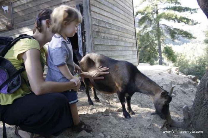 Cómo cambiar de vida y recorrer el mundo en cuatro historias (FOTOS)