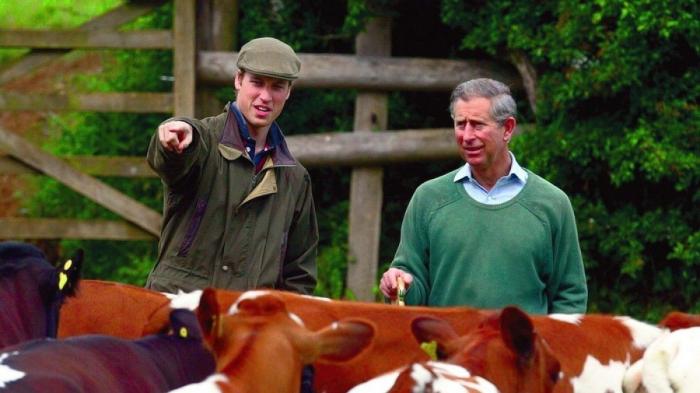 El príncipe Jorge cumple dos años, y estas nueve fotos demuestran por qué es tan 'charming'