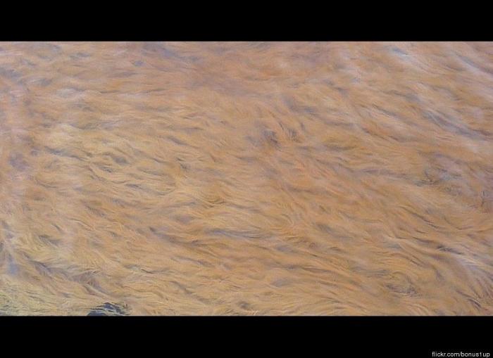 Aciertos y errores de 'Marte', la película de Ridley Scott: Pedro Duque analiza si es realista