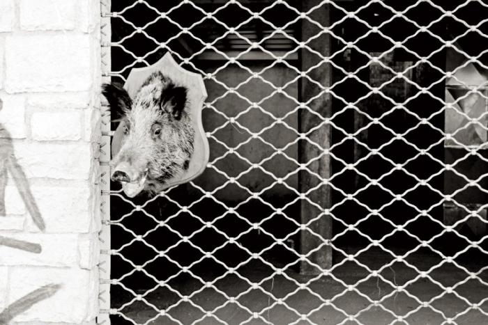 Grecia: un viaje al futuro