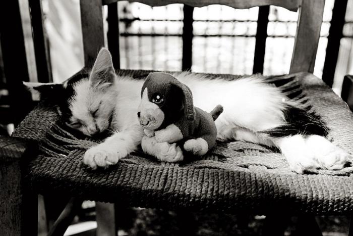 Grecia: un viaje al futuro