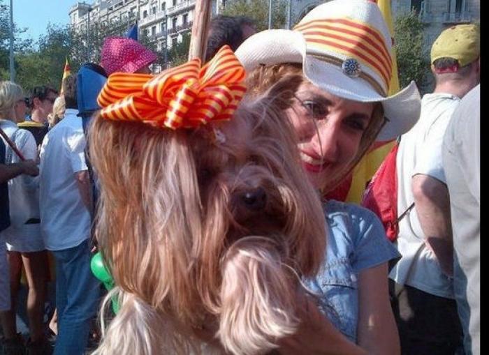 Diada 2012: Miles de personas colapsan el centro de Barcelona bajo el lema "Catalunya, nuevo estado de Europa" (FOTOS)