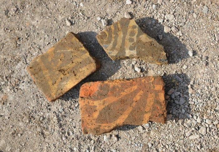 Tumba Ricardo III: ¿han encontrado sus huesos en un aparcamiento de Leicester? (FOTOS)