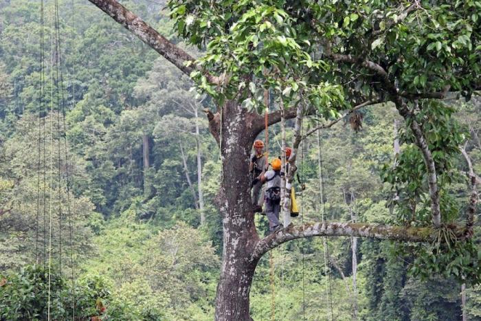 7 cosas más raras que ir en topless que Kate Middleton hace estos días (FOTOS)