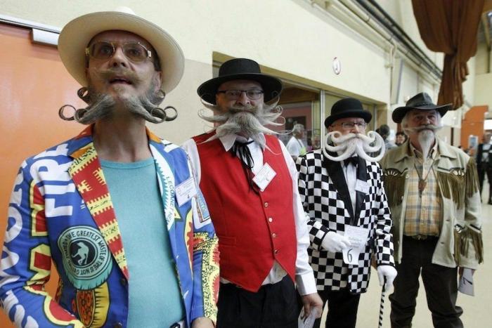 Pasarela de bigotes en el Campeonato Europeo (FOTOS)