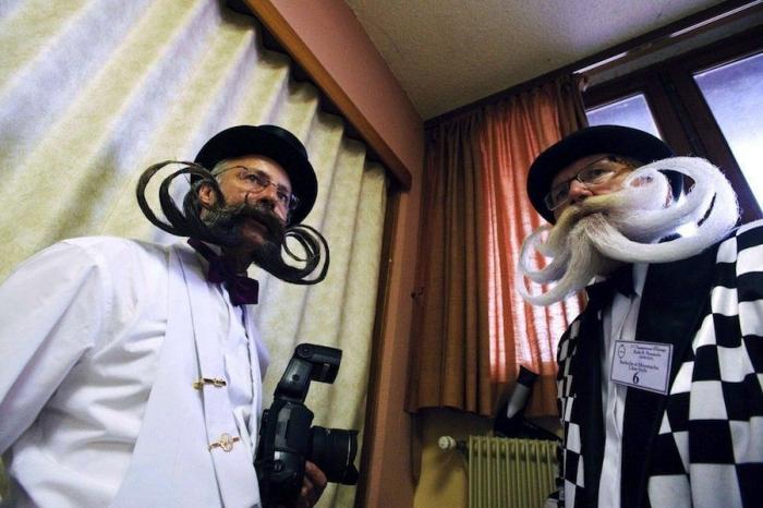 Pasarela de bigotes en el Campeonato Europeo (FOTOS)