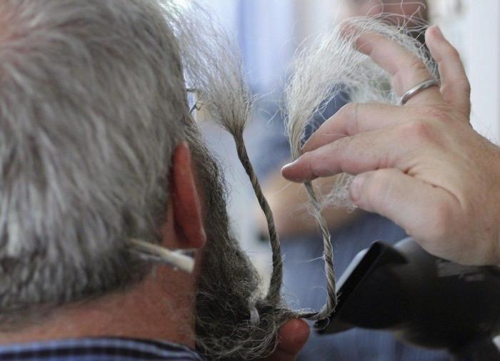 Pasarela de bigotes en el Campeonato Europeo (FOTOS)