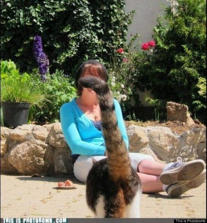 "He alcanzado la categoría de meme. ¿Cuántas personas pueden decir eso" (FOTOS, MONTAJES)