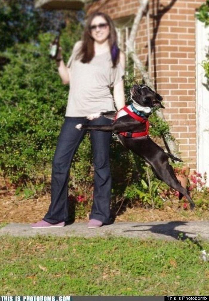 "He alcanzado la categoría de meme. ¿Cuántas personas pueden decir eso" (FOTOS, MONTAJES)