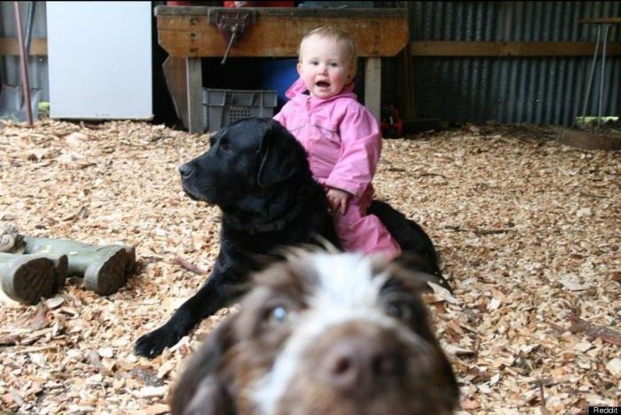 "He alcanzado la categoría de meme. ¿Cuántas personas pueden decir eso" (FOTOS, MONTAJES)