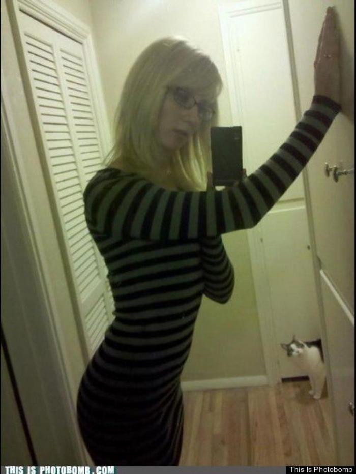 "He alcanzado la categoría de meme. ¿Cuántas personas pueden decir eso" (FOTOS, MONTAJES)