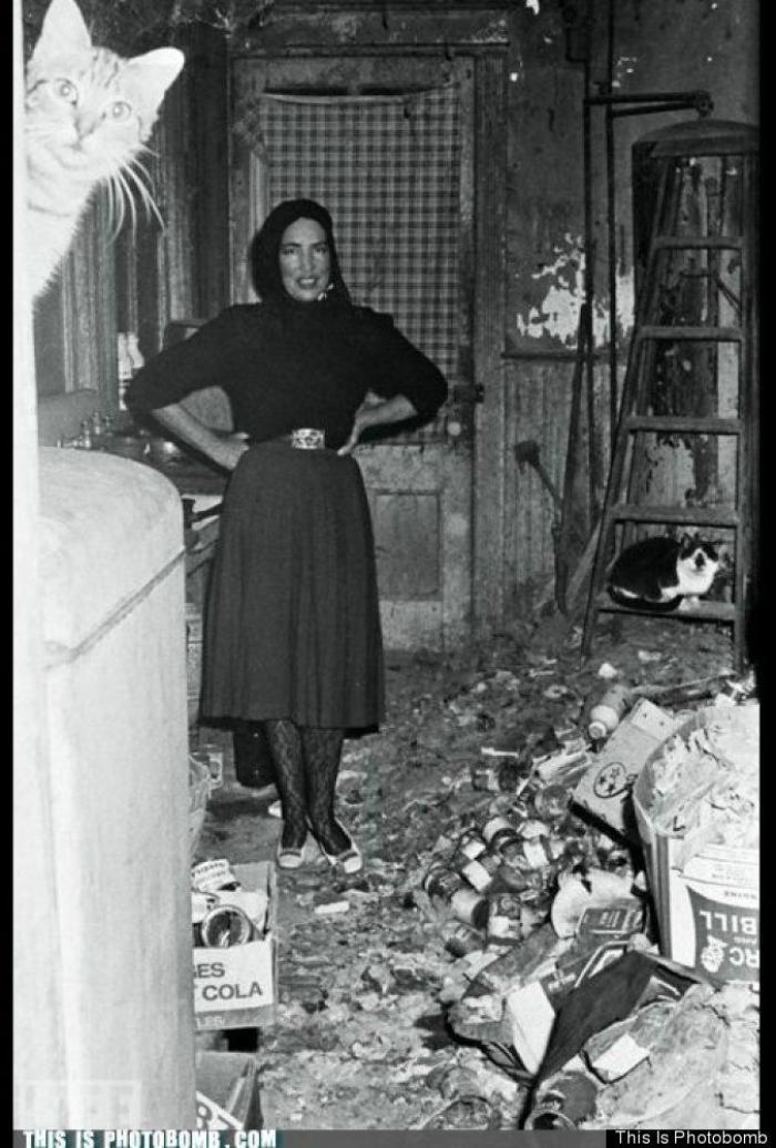 "He alcanzado la categoría de meme. ¿Cuántas personas pueden decir eso" (FOTOS, MONTAJES)