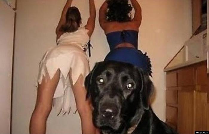 "He alcanzado la categoría de meme. ¿Cuántas personas pueden decir eso" (FOTOS, MONTAJES)