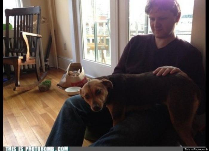 "He alcanzado la categoría de meme. ¿Cuántas personas pueden decir eso" (FOTOS, MONTAJES)