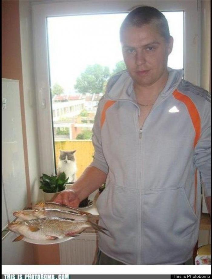 "He alcanzado la categoría de meme. ¿Cuántas personas pueden decir eso" (FOTOS, MONTAJES)