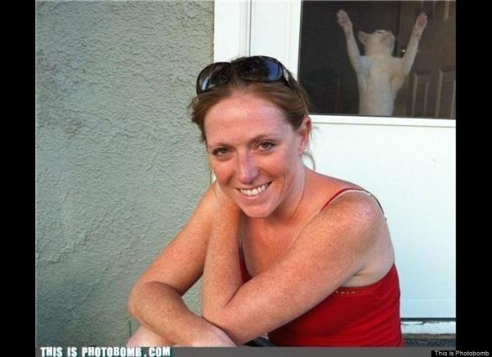 "He alcanzado la categoría de meme. ¿Cuántas personas pueden decir eso" (FOTOS, MONTAJES)