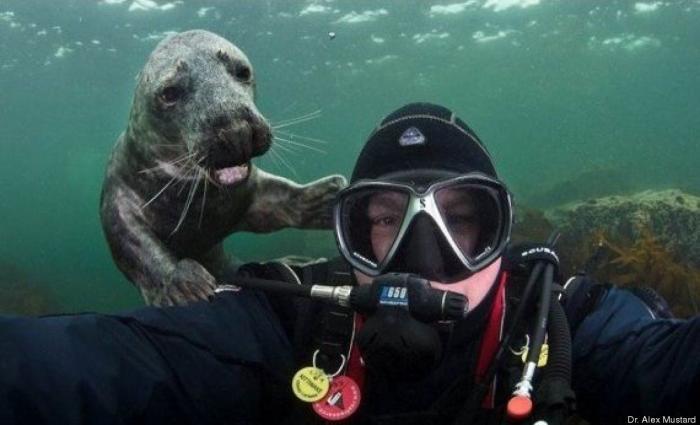 "He alcanzado la categoría de meme. ¿Cuántas personas pueden decir eso" (FOTOS, MONTAJES)