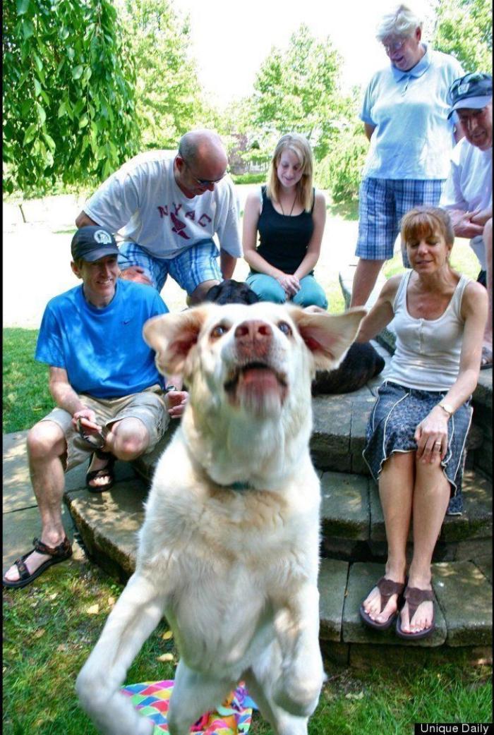 "He alcanzado la categoría de meme. ¿Cuántas personas pueden decir eso" (FOTOS, MONTAJES)