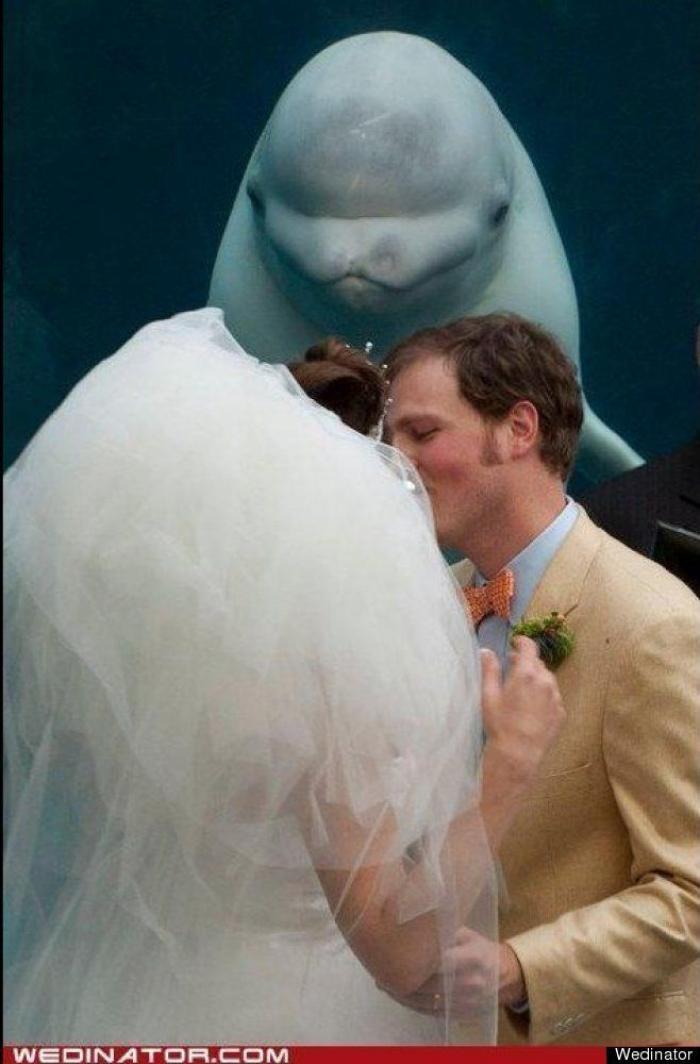 "He alcanzado la categoría de meme. ¿Cuántas personas pueden decir eso" (FOTOS, MONTAJES)