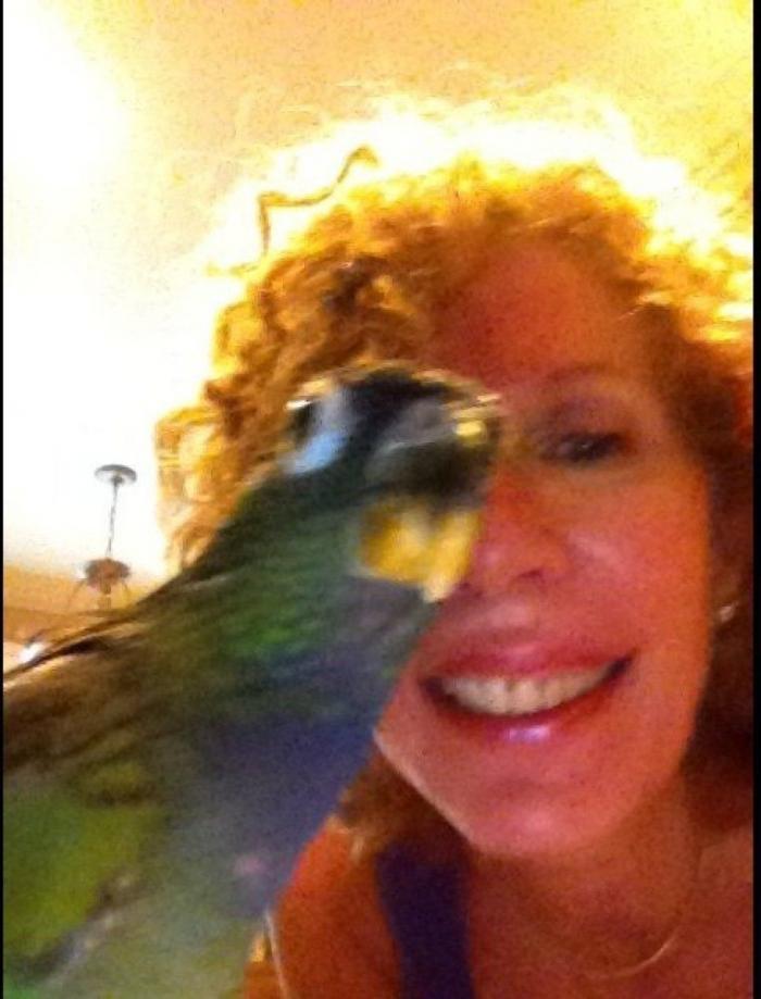 "He alcanzado la categoría de meme. ¿Cuántas personas pueden decir eso" (FOTOS, MONTAJES)