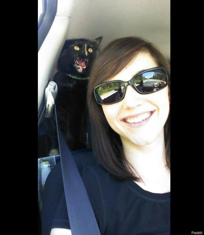 "He alcanzado la categoría de meme. ¿Cuántas personas pueden decir eso" (FOTOS, MONTAJES)