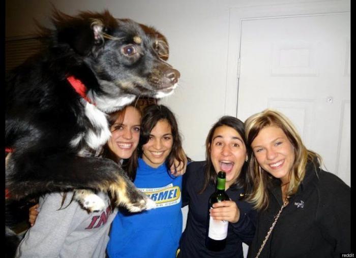 "He alcanzado la categoría de meme. ¿Cuántas personas pueden decir eso" (FOTOS, MONTAJES)