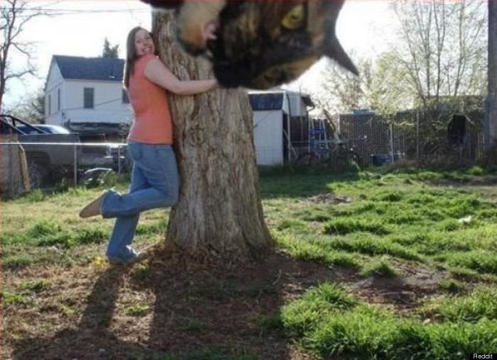 "He alcanzado la categoría de meme. ¿Cuántas personas pueden decir eso" (FOTOS, MONTAJES)