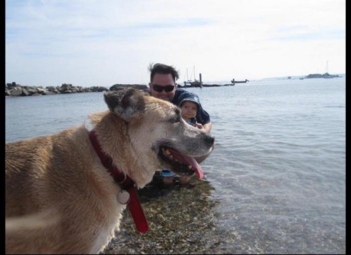 "He alcanzado la categoría de meme. ¿Cuántas personas pueden decir eso" (FOTOS, MONTAJES)