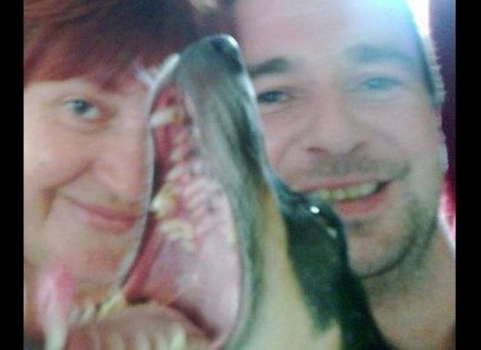 "He alcanzado la categoría de meme. ¿Cuántas personas pueden decir eso" (FOTOS, MONTAJES)