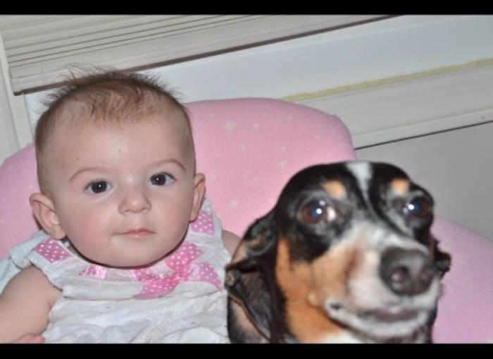 "He alcanzado la categoría de meme. ¿Cuántas personas pueden decir eso" (FOTOS, MONTAJES)