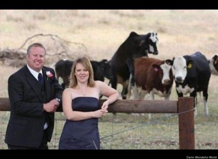 "He alcanzado la categoría de meme. ¿Cuántas personas pueden decir eso" (FOTOS, MONTAJES)