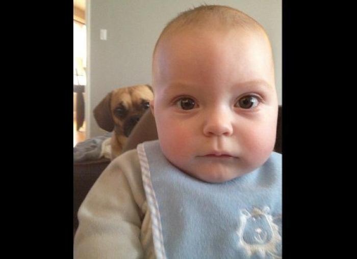 "He alcanzado la categoría de meme. ¿Cuántas personas pueden decir eso" (FOTOS, MONTAJES)