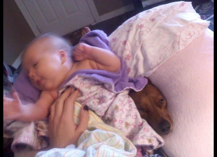 "He alcanzado la categoría de meme. ¿Cuántas personas pueden decir eso" (FOTOS, MONTAJES)