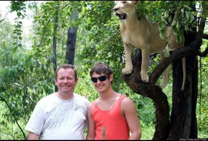 "He alcanzado la categoría de meme. ¿Cuántas personas pueden decir eso" (FOTOS, MONTAJES)